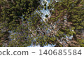 Aerial View of Snow Covered Forest with Evergreen Trees 140685584