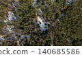 Aerial View of Snow Covered Forest with Evergreen and Deciduous Trees 140685586