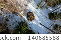 Aerial View of Snow Covered Forest with Central Rock Formation 140685588