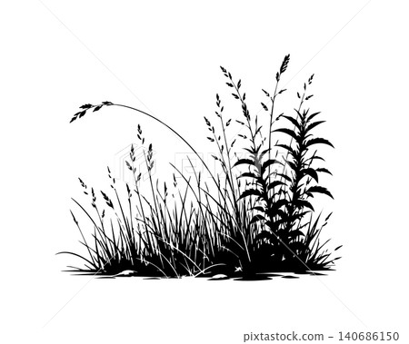 Grass silhouette vector isolated on white background nature design illustration of grass plant pattern greenery artwork Hand drawn. Not AI, vector illustration. Grass silhouette vector isolated on white background nature design illustration of grass plant pattern greenery artwork Hand drawn. Not AI, vector illustration. 140686150