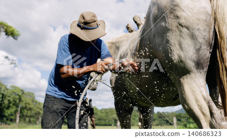 Latino stableman washing horse on a ranch Latino stableman washing horse on a ranch 140686323