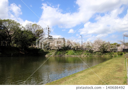 福岡市舞鶴公園的潮見砲台 福岡市舞鶴公園的潮見砲台 140686492