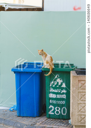 Jeddah, Saudi Arabia- Mar 08 2023, stray ginger cat sitting on bins for separate waste collection in Jeddah, Saudi Arabia Jeddah, Saudi Arabia- Mar 08 2023, stray ginger cat sitting on bins for separate waste collection in Jeddah, Saudi Arabia 140686649