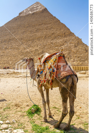 Giza, Egypt - Mar 11 2023, a bottom up view of dressed camel, and behind them a pyramid of Khafren, at daytime, Giza, Egypt Giza, Egypt - Mar 11 2023, a bottom up view of dressed camel, and behind them a pyramid of Khafren, at daytime, Giza, Egypt 140686773