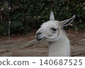 A llama with beautiful fur. 140687525