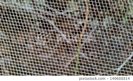 Abstract Steel Wire Mesh Fence Grid Pattern Background Abstract Steel Wire Mesh Fence Grid Pattern Background 140688814