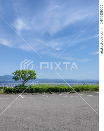 Relaxing coastal view of green grass blowing in the wind by the blue sea on a sunny day. 140689005