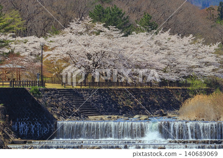 Drop structure and cherry blossoms (Matsukawa River, Togatta Onsen) Drop structure and cherry blossoms (Matsukawa River, Togatta Onsen) 140689069