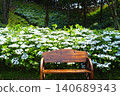 Kasui Lily Garden, Fukuroi City 140689343