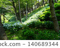 Kasui Lily Garden, Fukuroi City 140689344