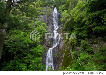 View from the observation deck of Otaki (Nanagusa Falls) (Fukusaki Town, Hyogo Prefecture) View from the observation deck of Otaki (Nanagusa Falls) (Fukusaki Town, Hyogo Prefecture) 140689357