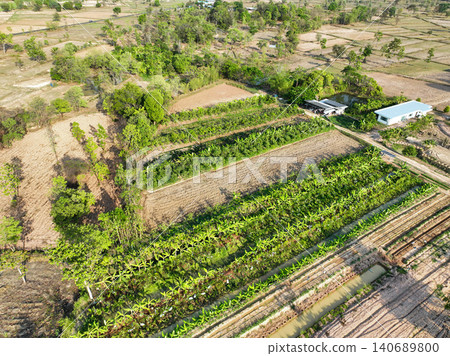 Sustainable mixed farming system with banana plantation, vegetable plots, and rural homestead. Regenerative agriculture, food security and land management. Biodiversity and climate resilience. Sustainable mixed farming system with banana plantation, vegetable plots, and rural homestead. Regenerative agriculture, food security and land management. Biodiversity and climate resilience. 140689800