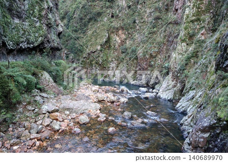 懷卡托地區卡蘭加哈克峽谷的景觀 懷卡托地區卡蘭加哈克峽谷的景觀 140689970