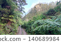 Landscape of the Karangahake Gorge in the Waikato region 140689984