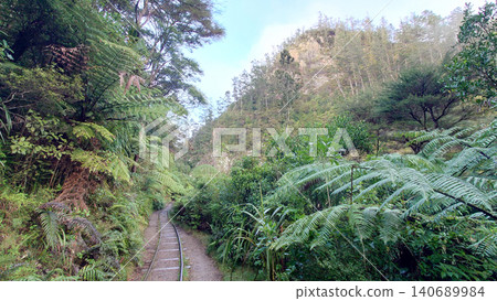 Landscape of the Karangahake Gorge in the Waikato region Landscape of the Karangahake Gorge in the Waikato region 140689984