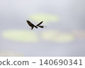 A scene of a damselfly flying by the water's edge. 140690341