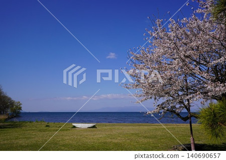 Sakura overlooking the sea Sakura overlooking the sea 140690657