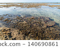 A shallow sea with a reef where branching coral and rock coral are exposed at the surface. 140690861