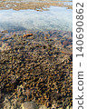 A shallow sea with a reef where branching coral and rock coral are exposed at the surface. 140690862
