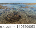 A shallow sea with a reef where branching coral and rock coral are exposed at the surface. 140690863