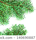 Background image of trees with lush, fresh green leaves. 140690887