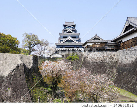 Kumamoto Castle, Spring 2026 Kumamoto Castle, Spring 2026 140691051
