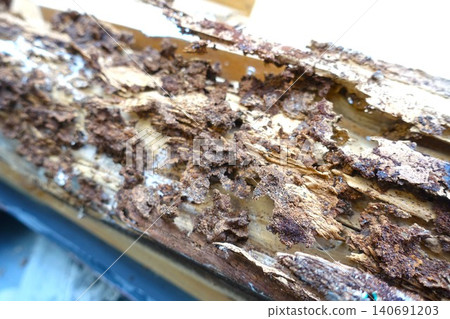 Pillars of a house damaged by termites Pillars of a house damaged by termites 140691203