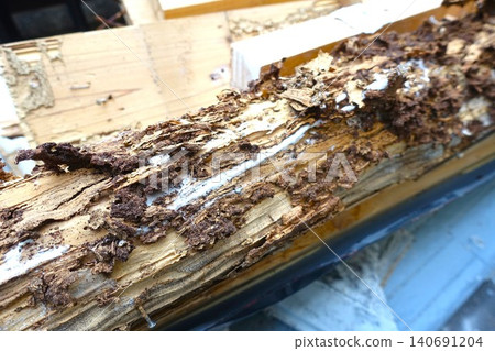 Pillars of a house damaged by termites Pillars of a house damaged by termites 140691204