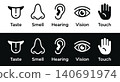 Five Human Senses Line Icons Taste Smell Hearing Vision Touch Vector Set 140691974