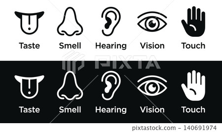Five Human Senses Line Icons Taste Smell Hearing Vision Touch Vector Set Five Human Senses Line Icons Taste Smell Hearing Vision Touch Vector Set 140691974