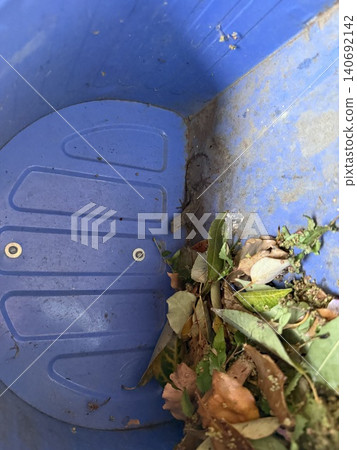 雪堆裡的壁虎 雪堆裡的壁虎 140692142