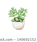 Small houseplants, succulents, watercolor illustrations 140692152