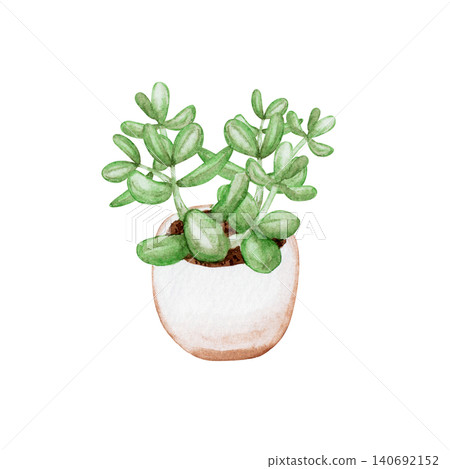 Small houseplants, succulents, watercolor illustrations Small houseplants, succulents, watercolor illustrations 140692152