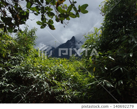 A rugged mountain peak shrouded in mist, seen through the deep green trees (Peru) A rugged mountain peak shrouded in mist, seen through the deep green trees (Peru) 140692279