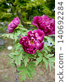Botanical flowers 140692284