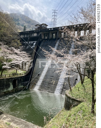 Cherry blossoms and Mase Dam Cherry blossoms and Mase Dam 140692359