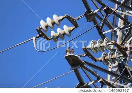 A flock of starlings gathered on a transmission tower. A flock of starlings gathered on a transmission tower. 140692517