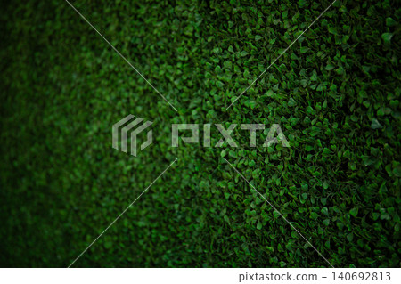 Lush green wall with leaves in a natural setting in Bali Lush green wall with leaves in a natural setting in Bali 140692813