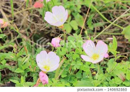 Hirao Gao Hirao Gao 140692860