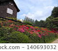 Azaleas blooming in the former Furukawa Gardens 140693032