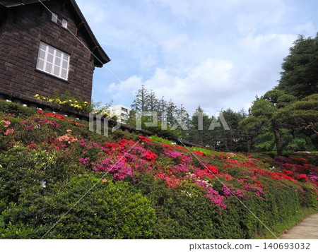 杜鵑花盛開的舊古河庭園 杜鵑花盛開的舊古河庭園 140693032