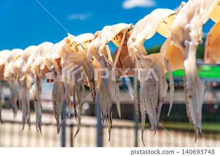 曬乾的翻車魚 曬乾的翻車魚 140693748