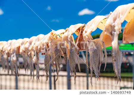 曬乾的翻車魚 曬乾的翻車魚 140693749