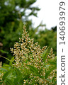 Southern flowers 140693979