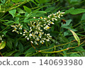 Southern flowers 140693980