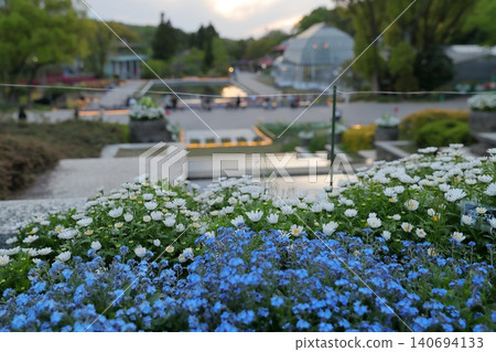 Fresh flowers in the foreground and a modern greenhouse in the distance (Higashiyama Zoo and Botanical Gardens, Nagoya City, Aichi Prefecture) Fresh flowers in the foreground and a modern greenhouse in the distance (Higashiyama Zoo and Botanical Gardens, Nagoya City, Aichi Prefecture) 140694133