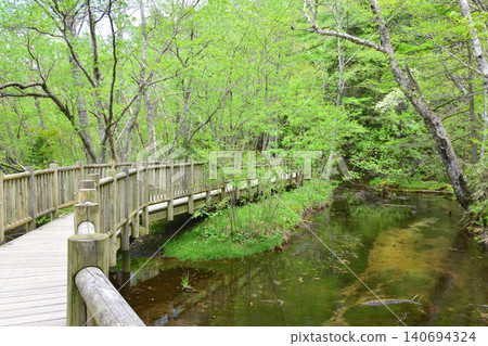 Scenery near Taisho Pond in Kamikochi, Matsumoto City, Nagano Prefecture (2023) 140694324