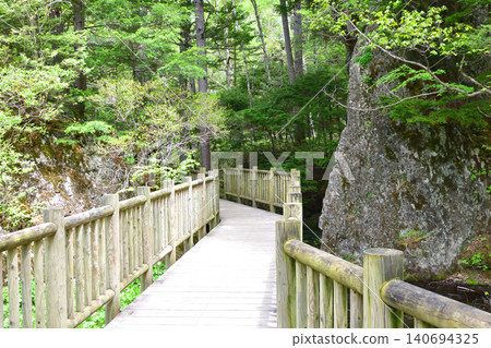 Scenery near Taisho Pond in Kamikochi, Matsumoto City, Nagano Prefecture (2023) 140694325