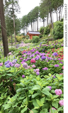 Uji's Hydrangea Space Uji's Hydrangea Space 140694547