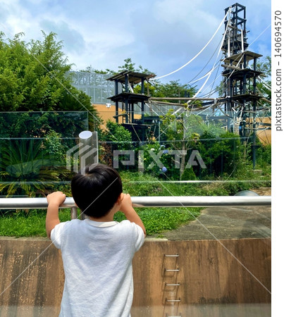 幼兒在動物園觀察動物時,背影清晰可見。 幼兒在動物園觀察動物時,背影清晰可見。 140694570